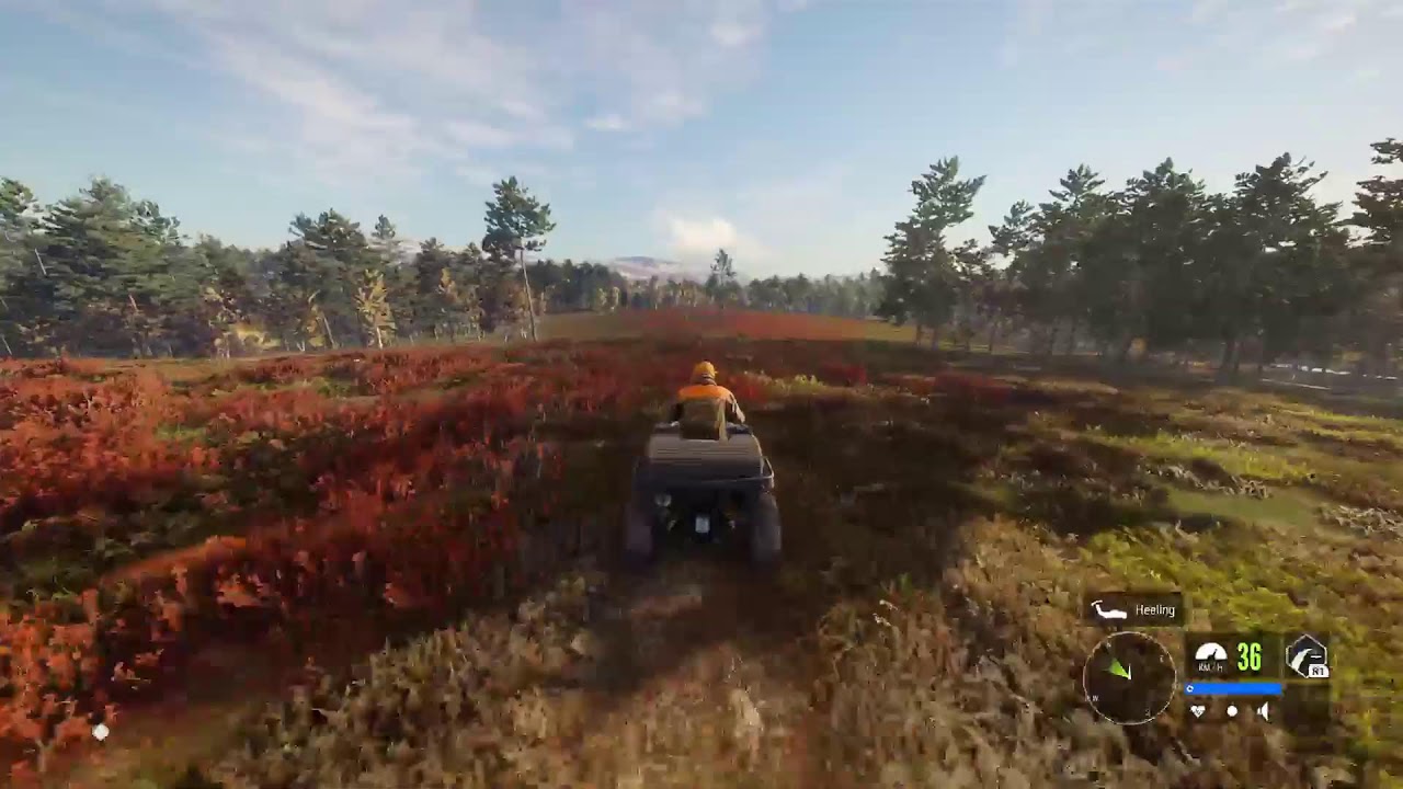 The Hunter COTW, setting up my first grind
