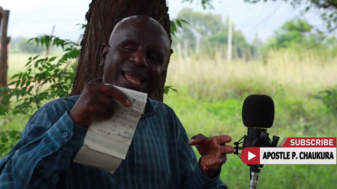 Chatunga Mugabe should have been in Zimbabwe