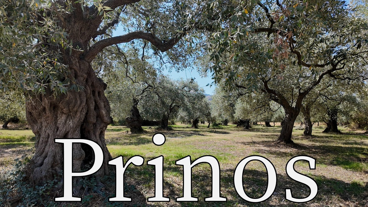 Prinos, Island Thasos, Greece - by drone [4K]. #thasos