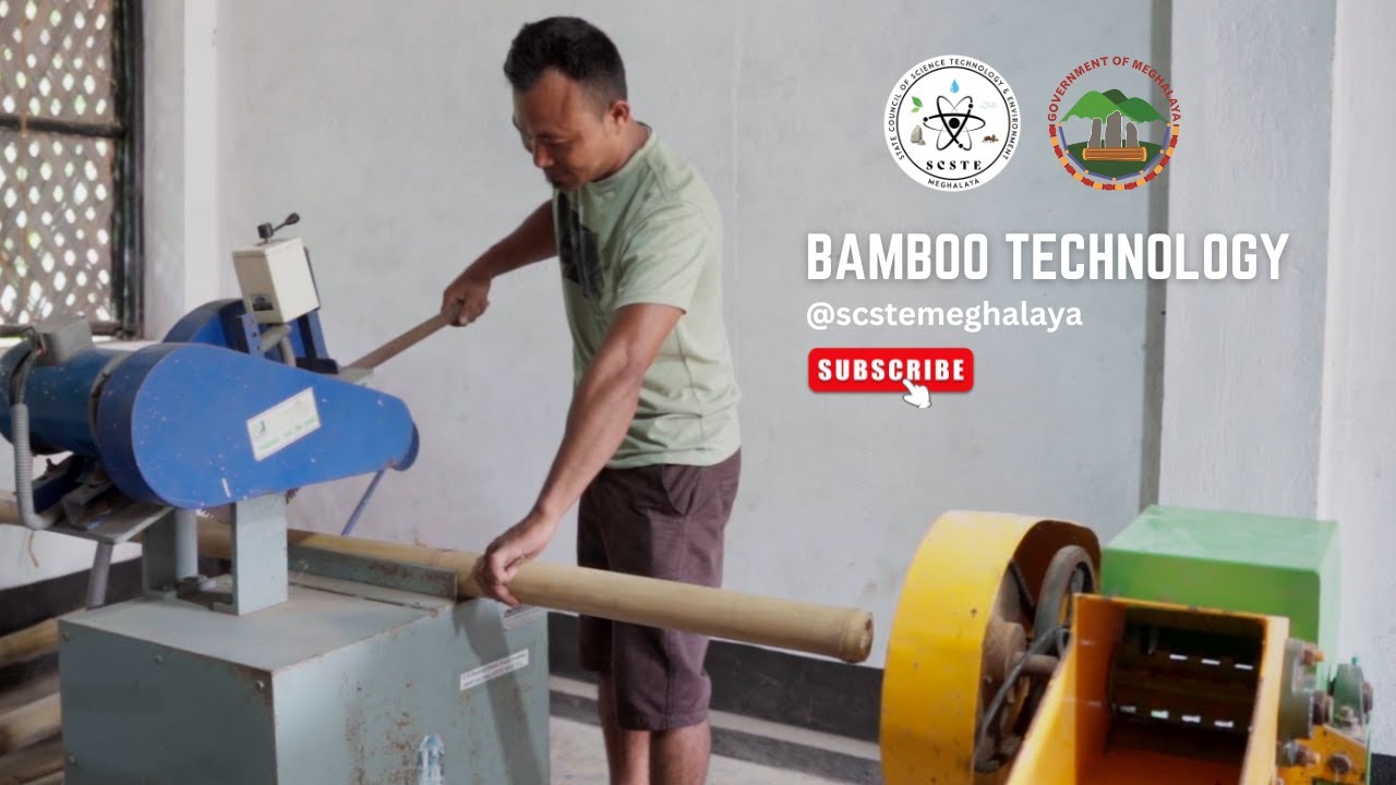 Bamboo Technology