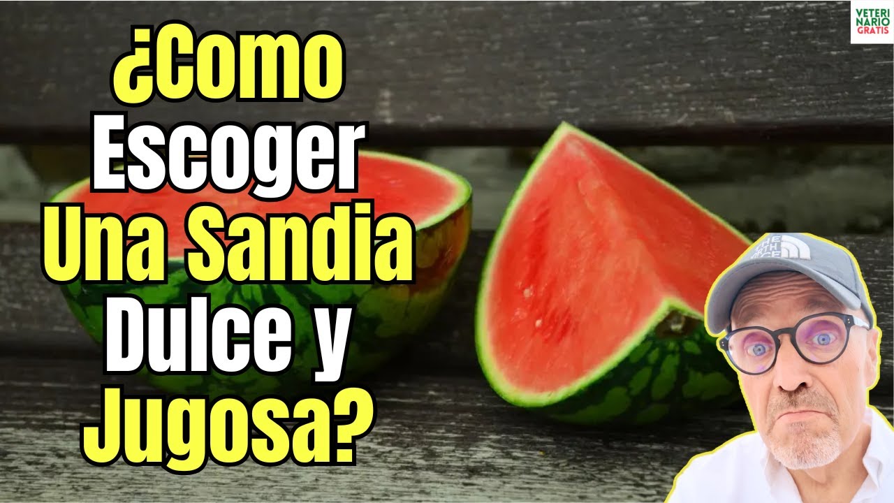 🤫 ¿CÓMO ESCOGER una SANDÍA DULCE y JUGOSA? 🤯 ¡NO TE EQUIVOCARÁS MÁS! ✅
