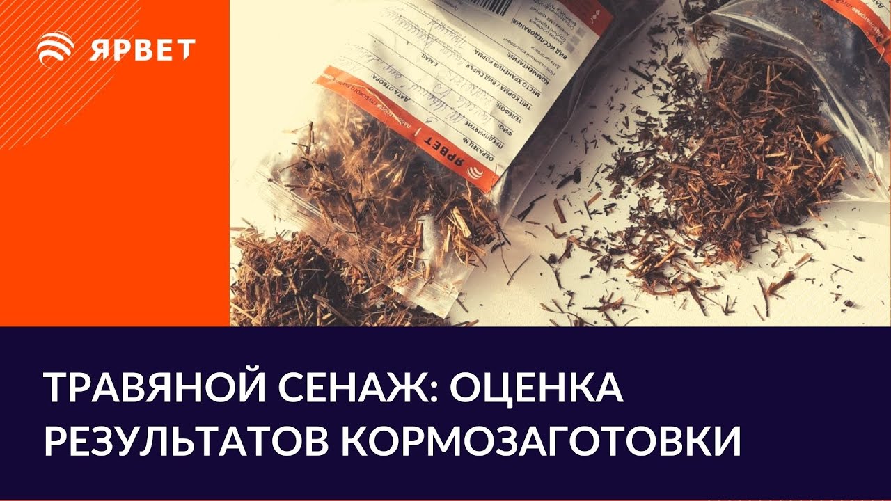 Оценка заготовки сенажа по анализам. Как читать анализ кормов?