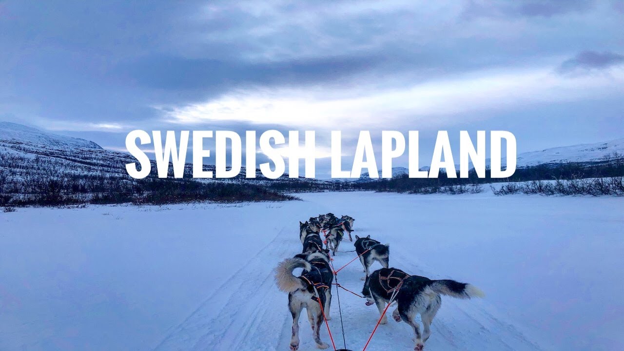 Winter moment in Abisko, Swedish lapland 2021