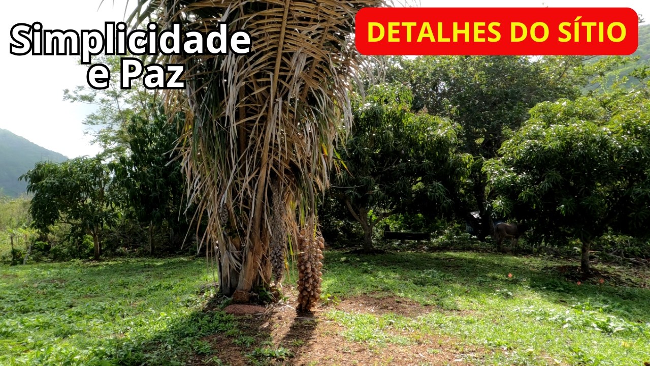 SIMPLICIDADE E PAZ, DETALHES DO SÍTIO!