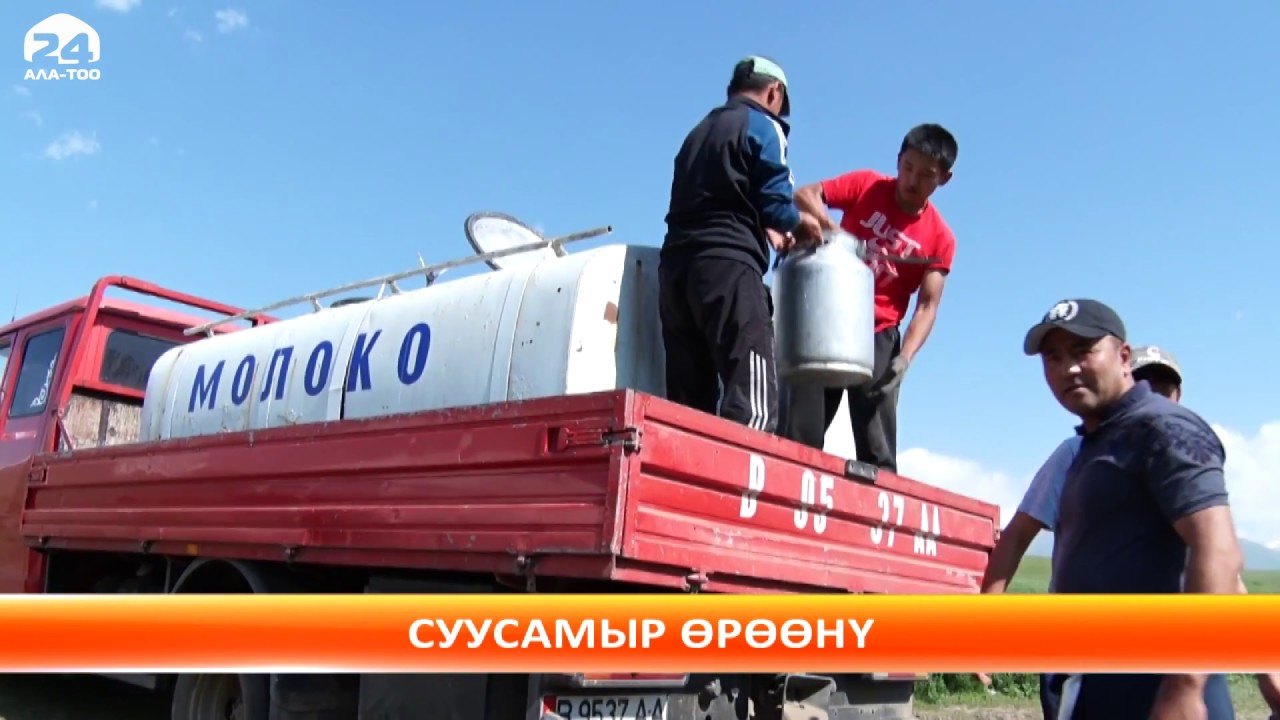 Суусамыр өрөөнү
