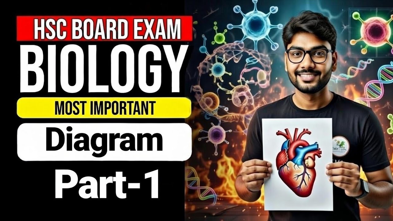 Most Important Diagrams of Biology for HSC Board Exam 🧬 | 90+ Marks Strategy