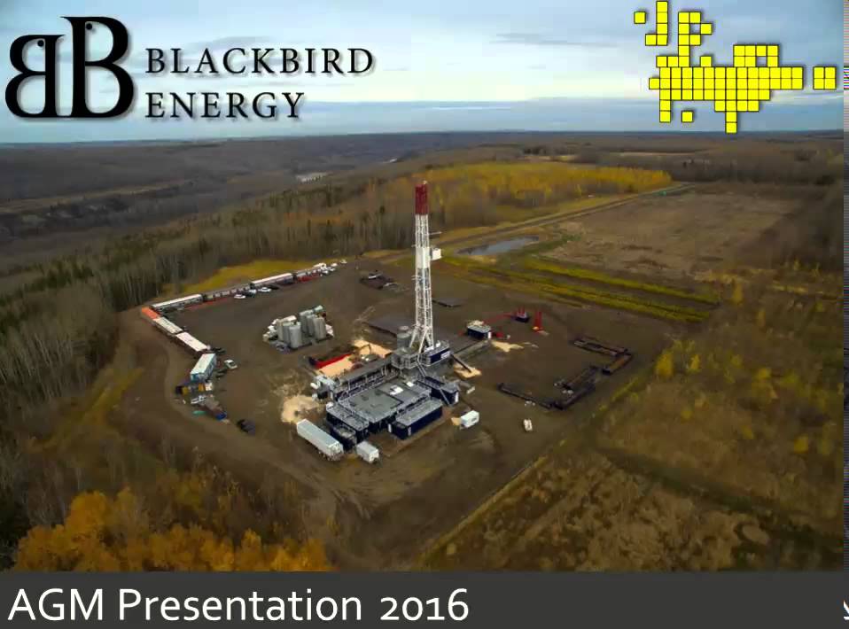 Blackbird Energy Pr&auml;sentation General/Special Meeting
