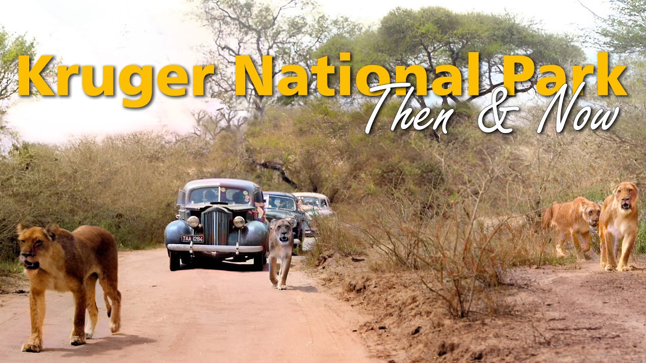 Overlanding Movie - Kruger Then & Now