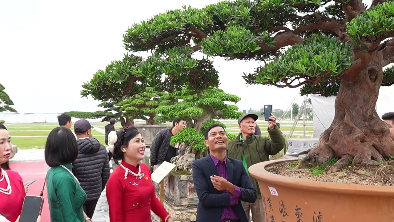 Triển lãm Sinh vật cảnh tại Đền Trần - Nam Định năm 2026