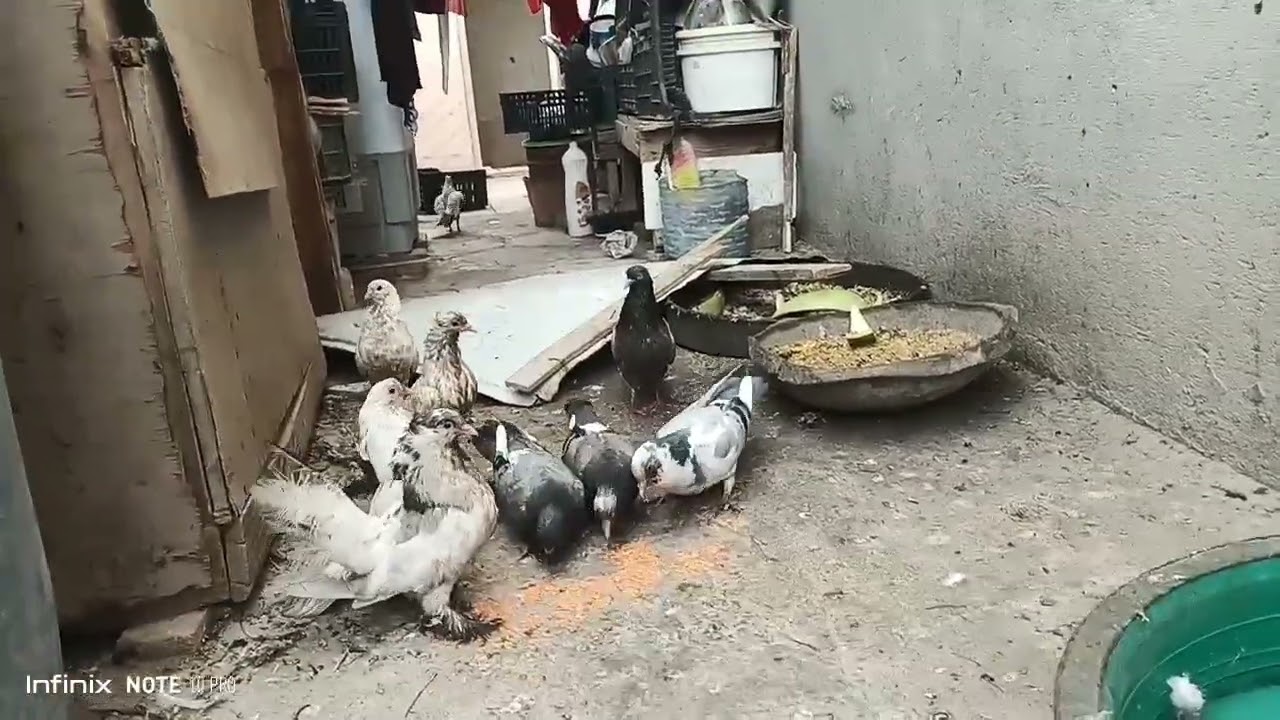 ٢٧ أكتوبر ٢٠٢٥