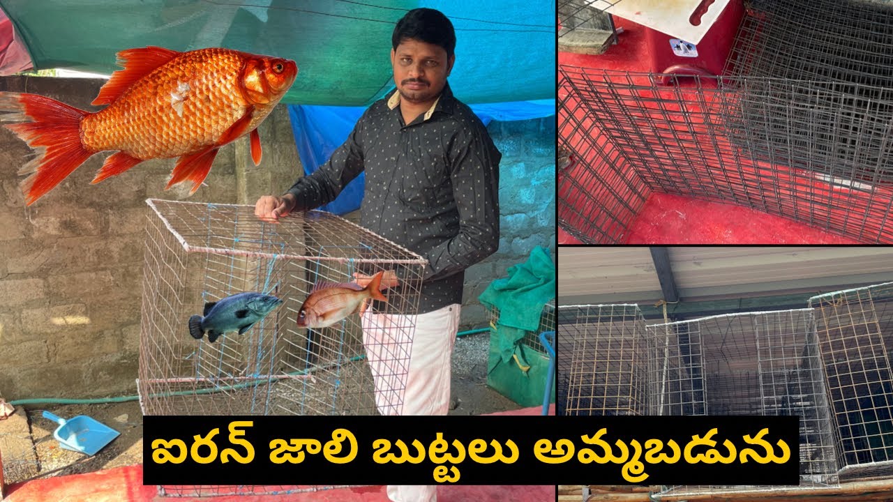 చేపల బుట్టలు అమ్మబడును 🐠 | కొర్రమీను |గురకలు | చాపలు