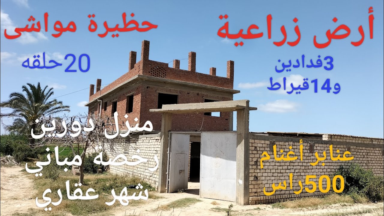 مزرعة 3فدادين و14قيراط ومنزل دورين وحظيرة مواشي وعنابر أغنام مسجلة السعر داخل الفيديو وقابل للتفاوض