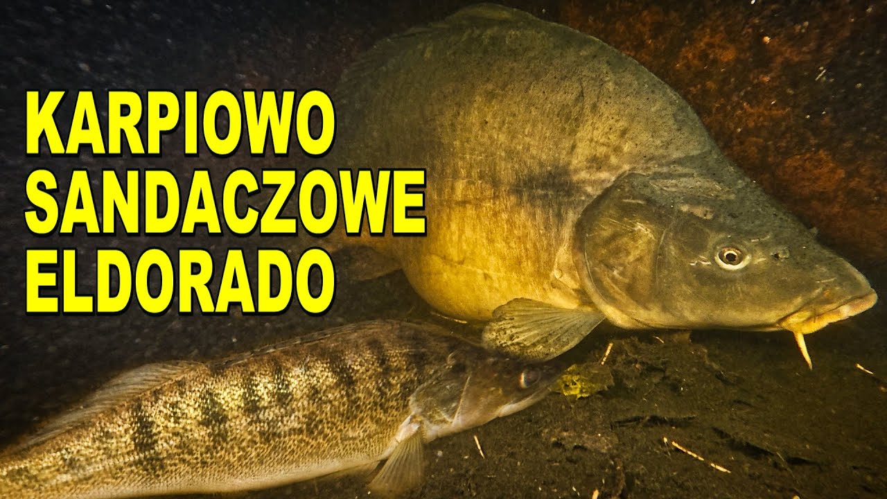 ŁOWISKO MARZEŃ. NURKOWANIE 18.10.2024  JEZIORO DŁUGIE