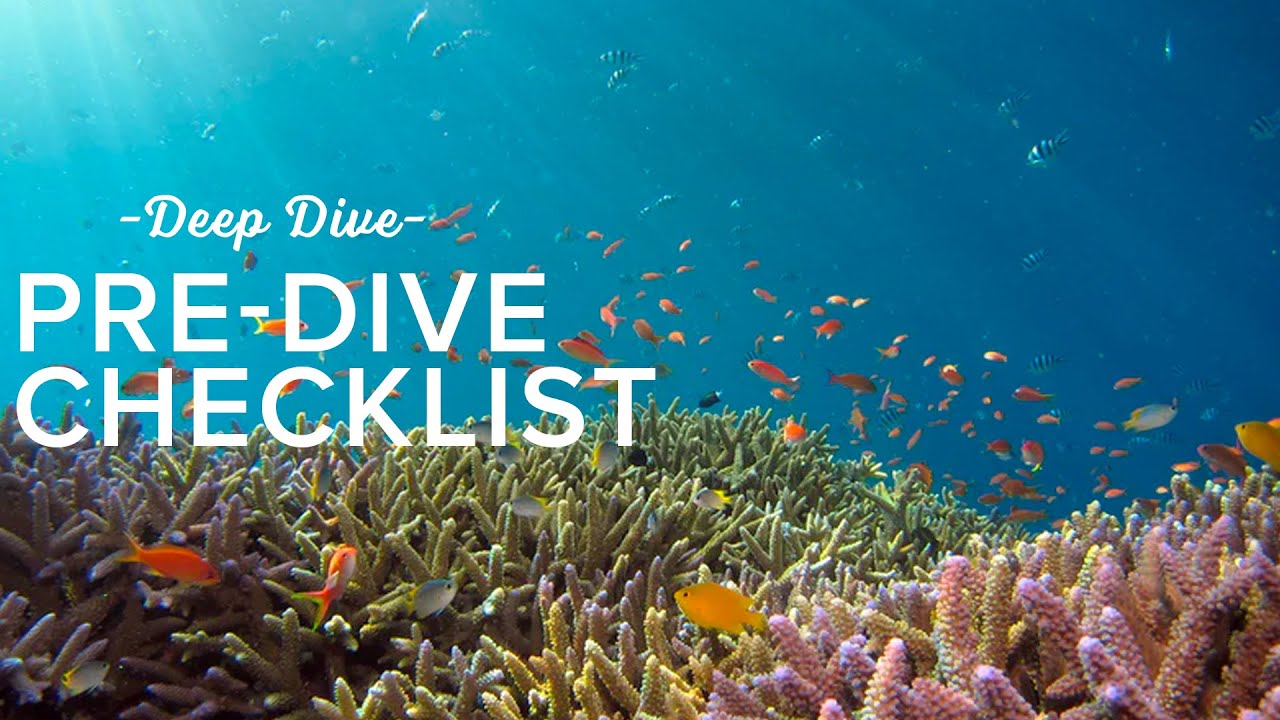 The Pre Dive Checklist | Deep Dive