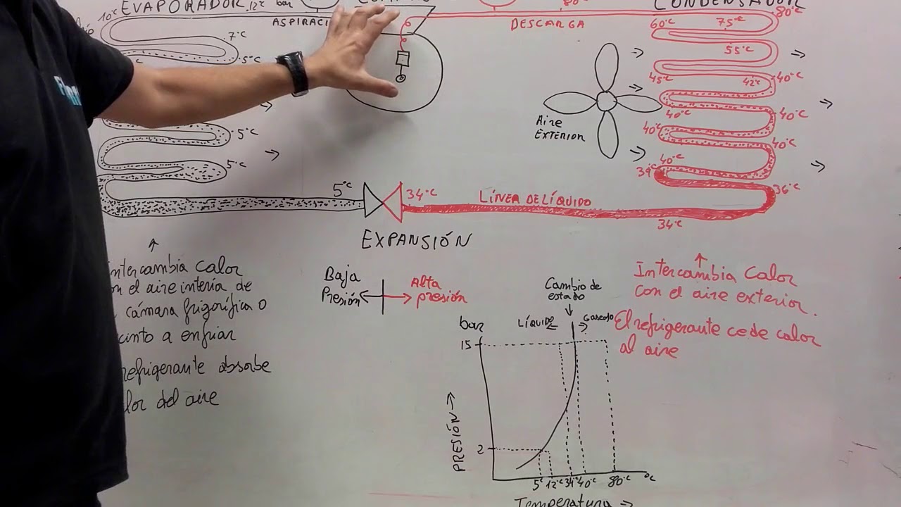 Explicación del circuito frigorífico