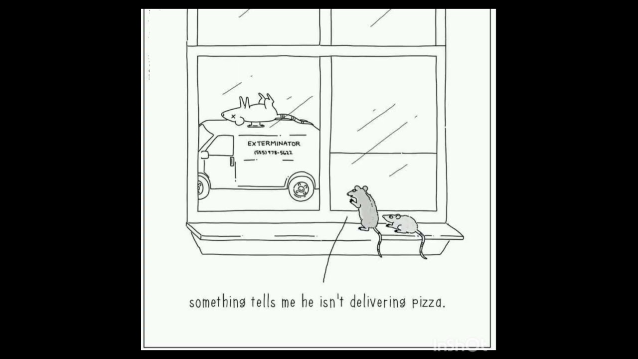 😳If Animals Can Talk🕊️🦒