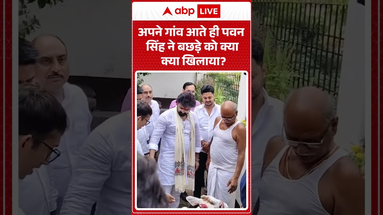 Pawan Singh MLC : अपने गांव आते ही पवन सिंह ने बछड़े को क्या क्या खिलाया? #shorts #viralvideo