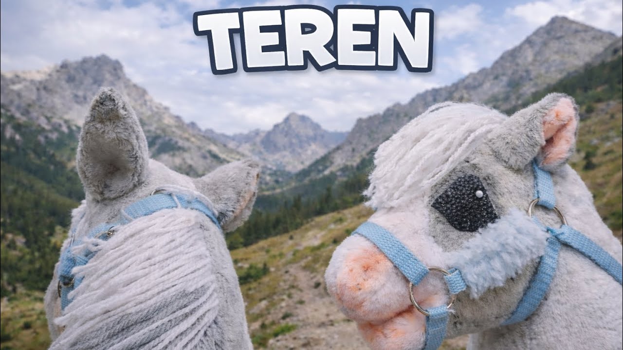 ⛰️Lutowy Vlog⛰️ Teren w górach!?