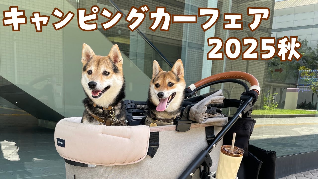 40代子なし夫婦ついにキャンピングカー購入か？！