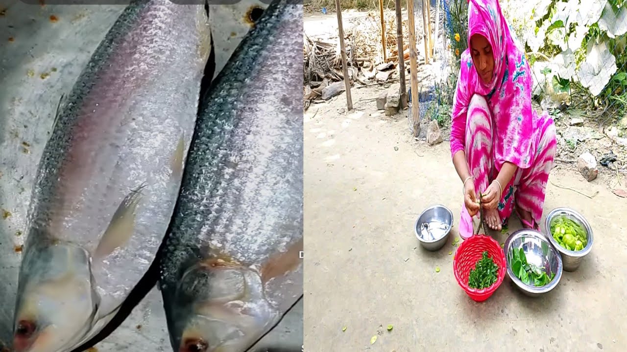 ইলিশ মাছের ঝুড়ি....!😋