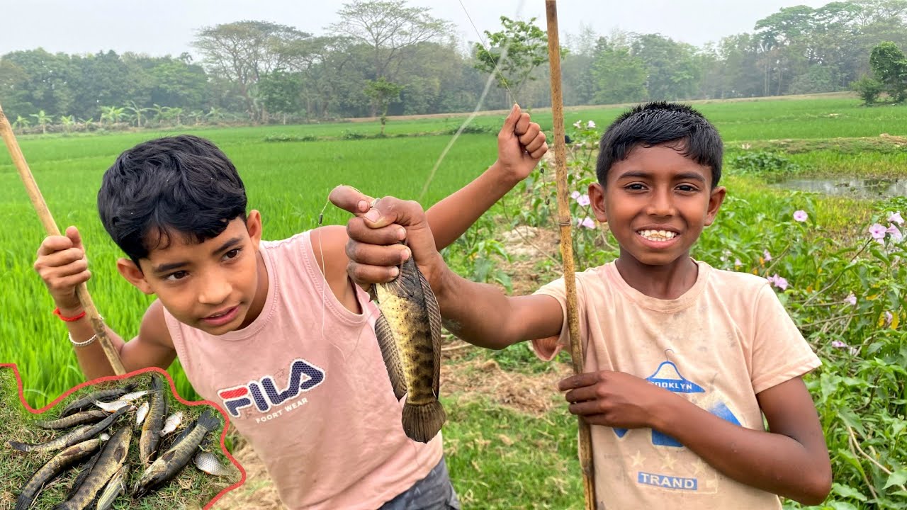 আজ কত টাকার মাছ ধরলাম? | Village Hook Fishing Video | Village Boy Fishing 