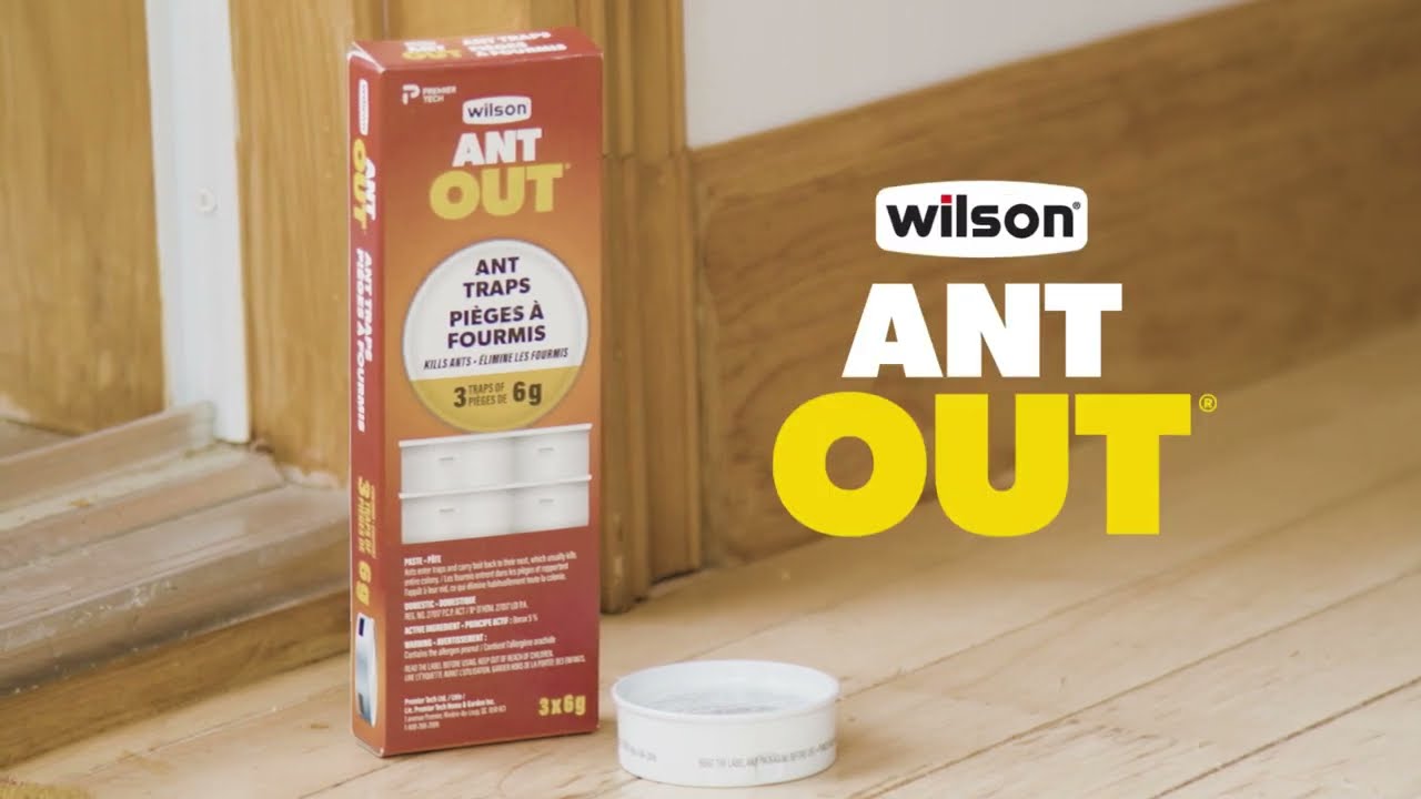 How to use Wilson ANT OUT Ant Traps