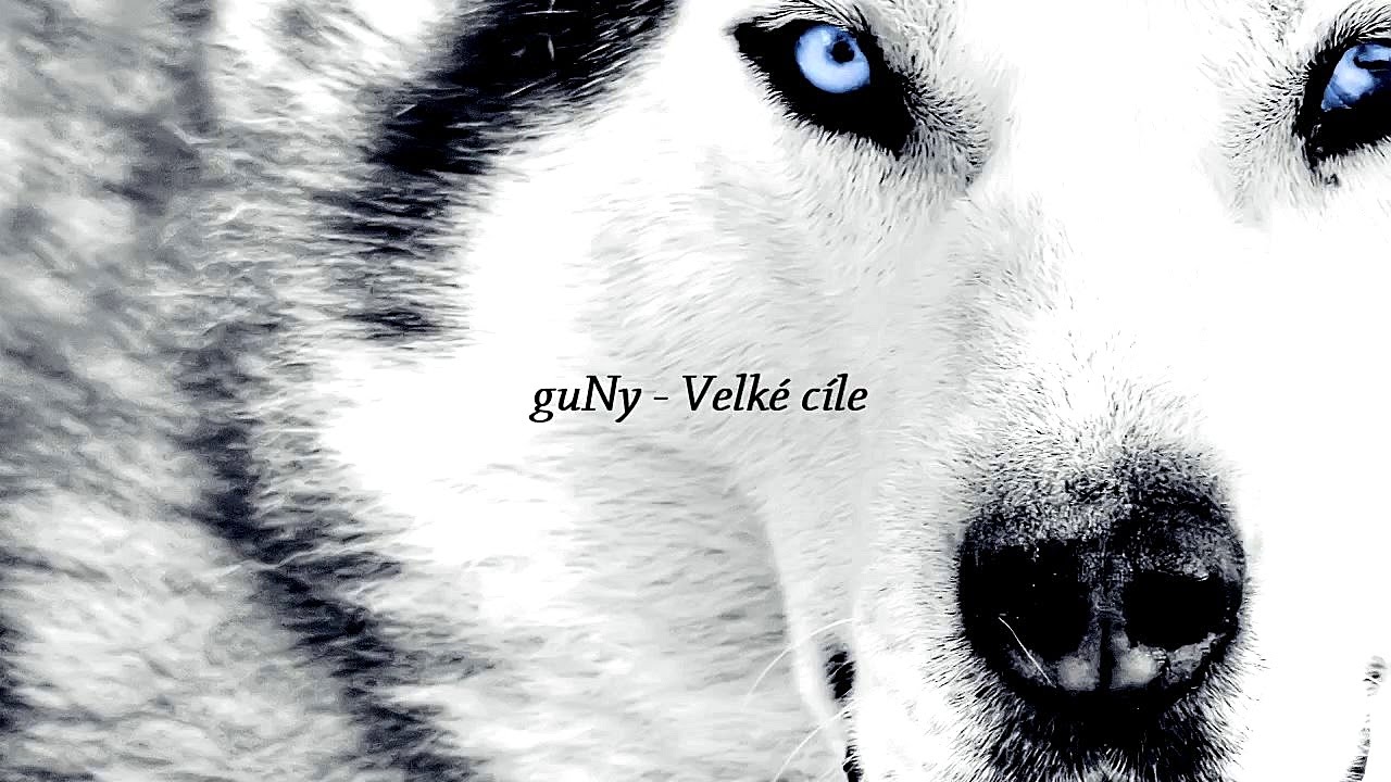 guNy - Velké cíle