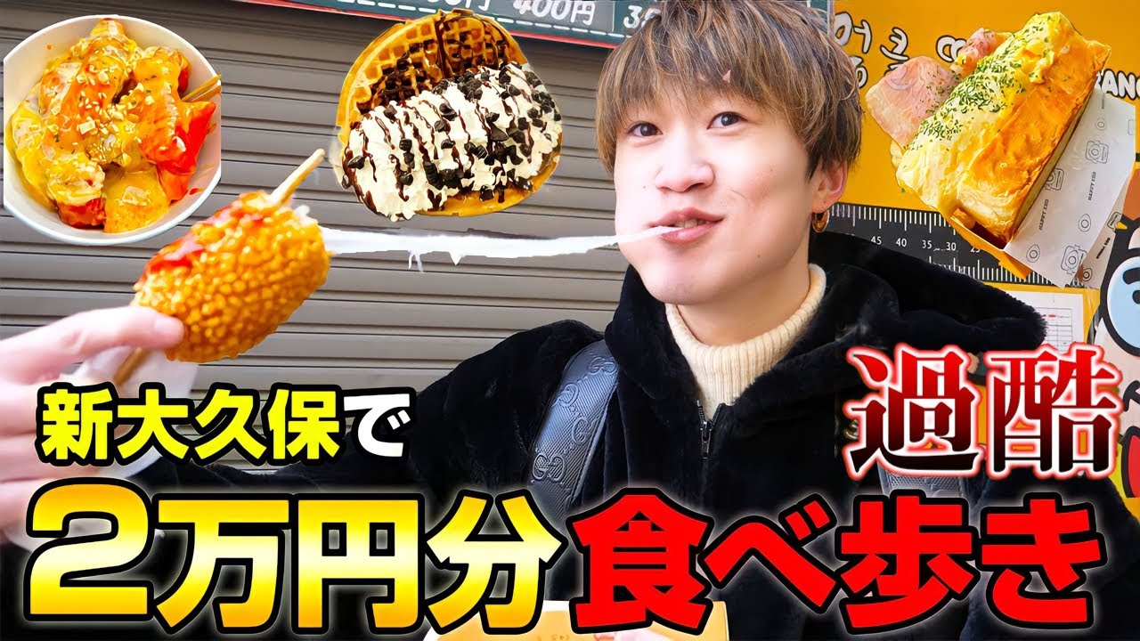 【大食い】新大久保で2万円食べ切るまで帰れません‼️コスパ最強の食べ歩きが過酷すぎる⁉️【ぞうさんパクパク】【食べ歩き】
