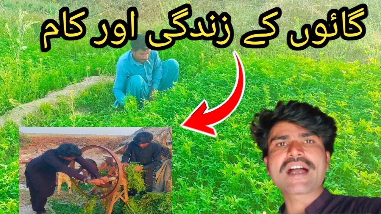 Gaon Ke Zindgi 👈😂👈