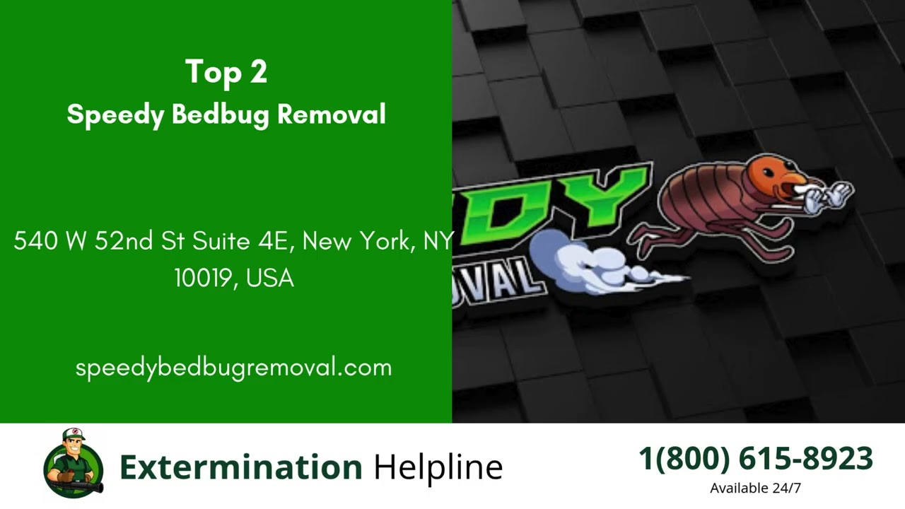 Top 3 Exterminators in Rosenberg