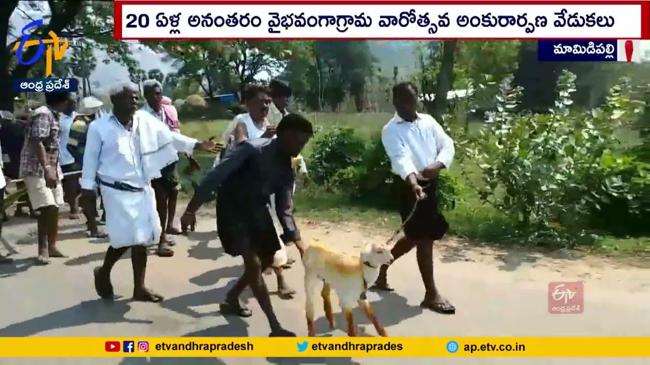 Local Goddess Festival in Mamidipalli | 2 Decades After | 2 దశాబ్ధాల తర్వాత గ్రామదేవత పండగ