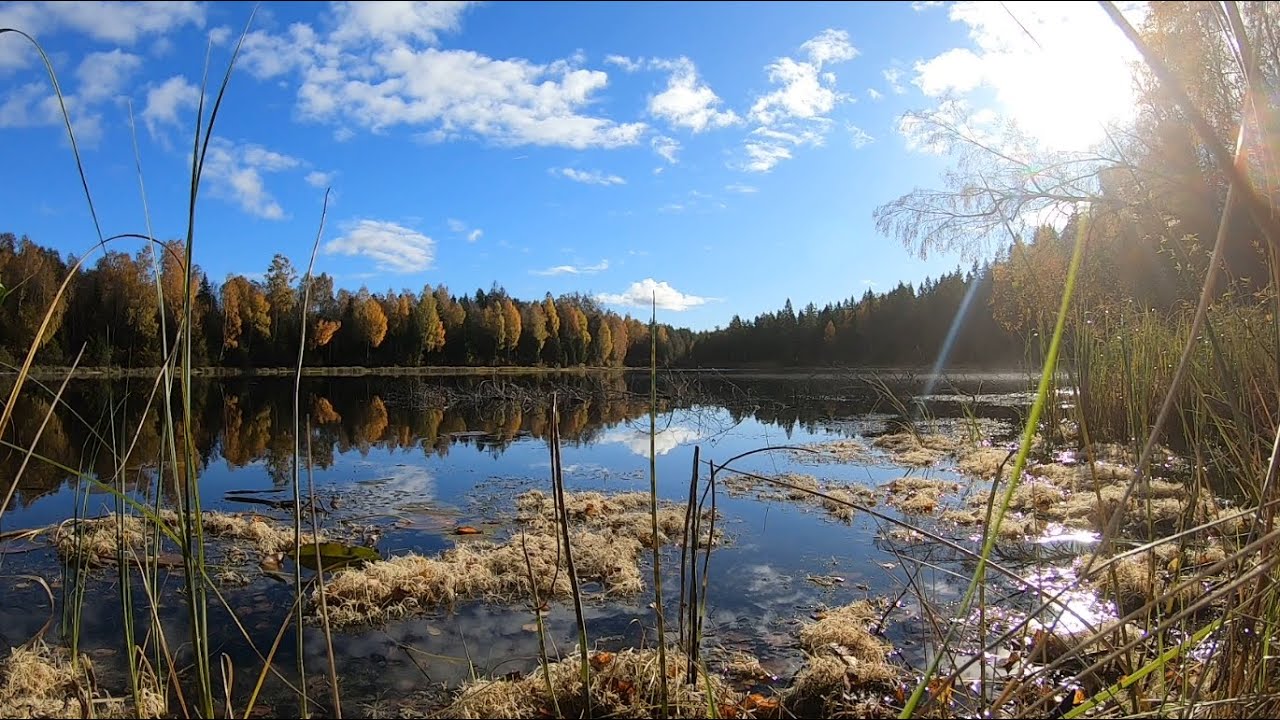 Hike to the lake in moderate temperature, saw a steamfog.