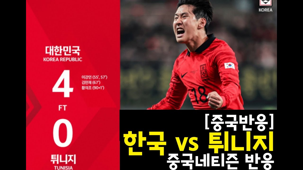 [중국반응]한국:튀니지전 중국 네티즌 반응!