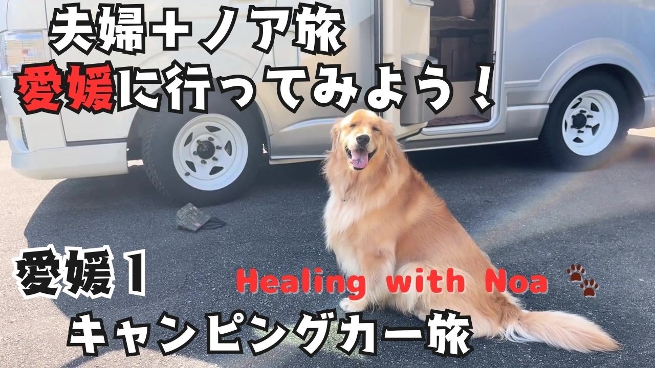 【ゴールデンレトリバー】キャンピングカーで愛媛に旅立つ#ゴールデンレトリバー#キャンピングカー旅#大型犬のいる暮らし
