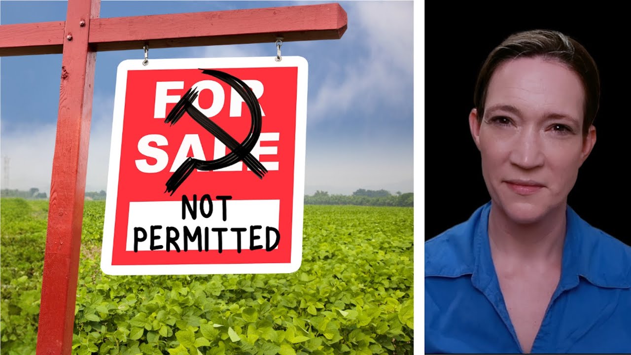 Why didn&rsquo;t China privatize rural land? (Just too socialist?)
