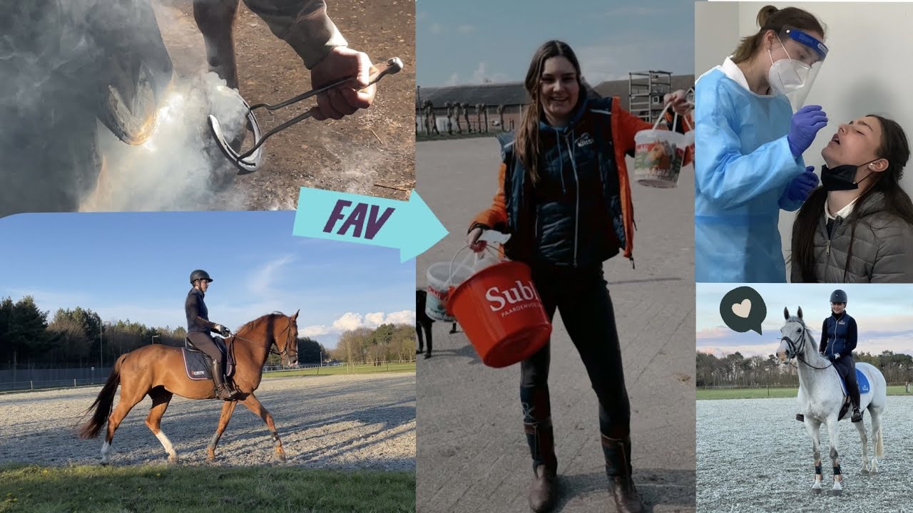 Alle voorbereidingen voor een internationale eventingwedstrijd! ✰vlog 179✰ | Kristy Snepvangers |