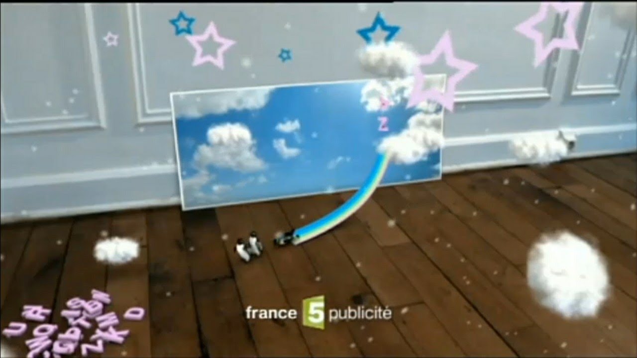 France 5 : C.N, 3 pubs, 4 B.A : 22-12-2008