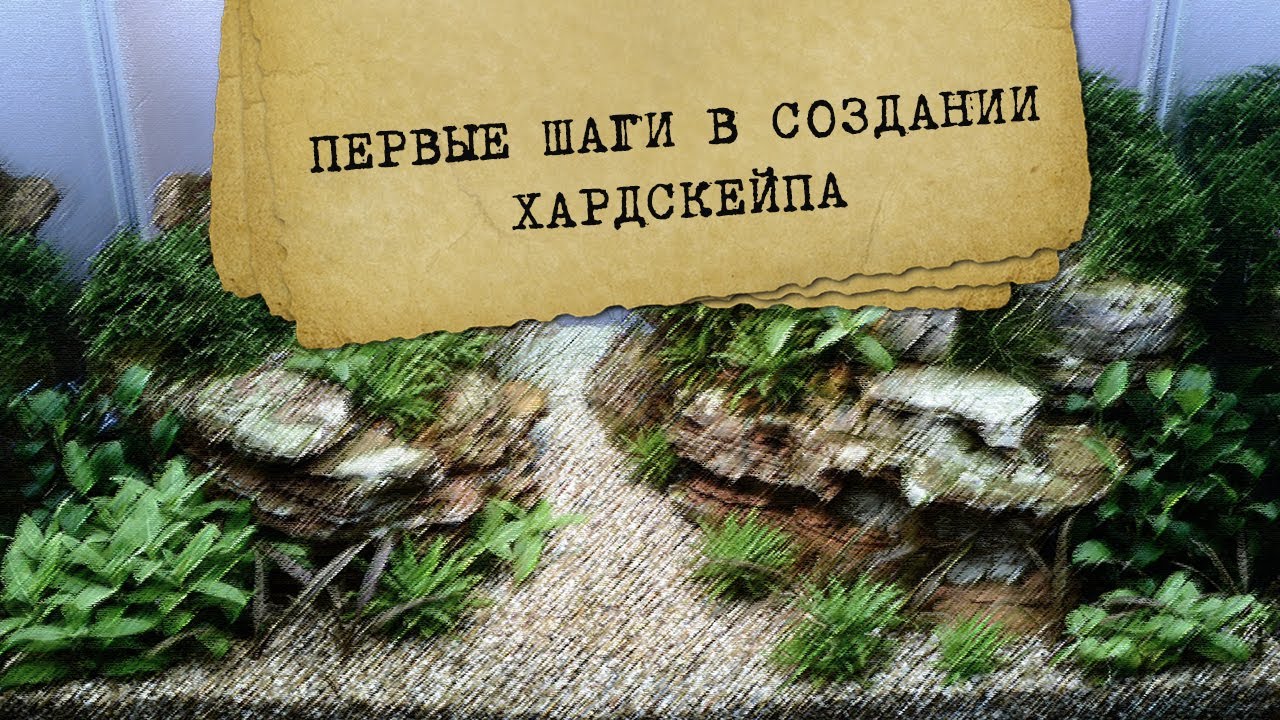 Первые шаги в создании хардскейпа