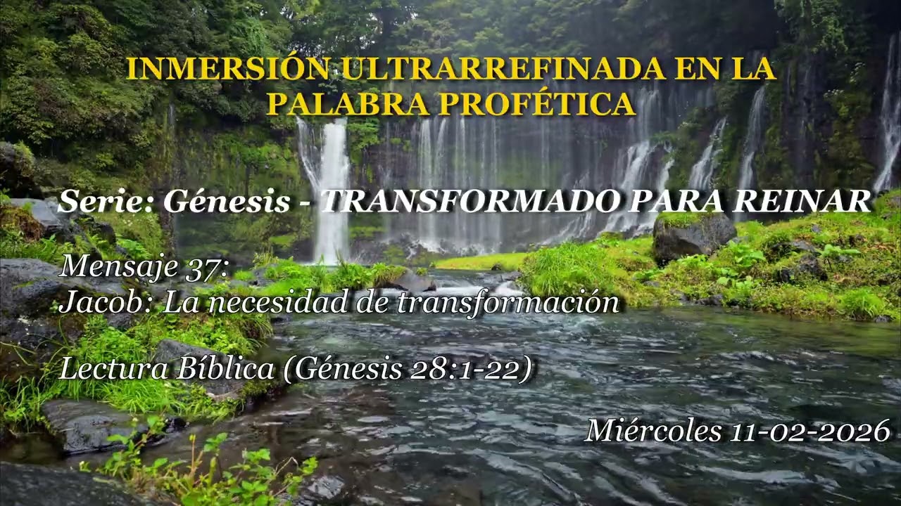 Inmersión Ultra refinada 11/02/2026
