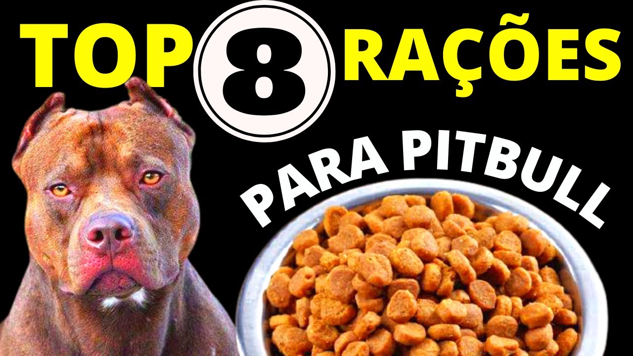TOP 8 MELHORES RAÇÕES PARA PITBULL! Só as melhores rações para PITBULL!