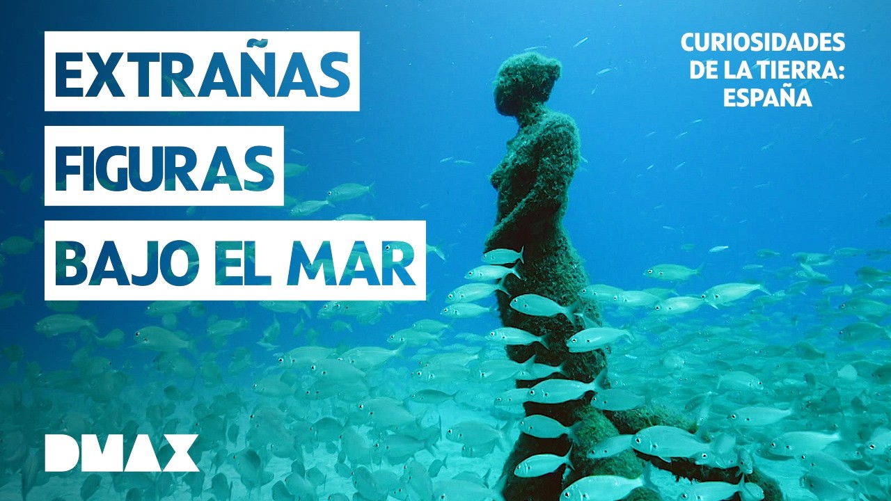 Uno de los mejores lugares para bucear en Canarias 🐬 | Curiosidades de la Tierra: España