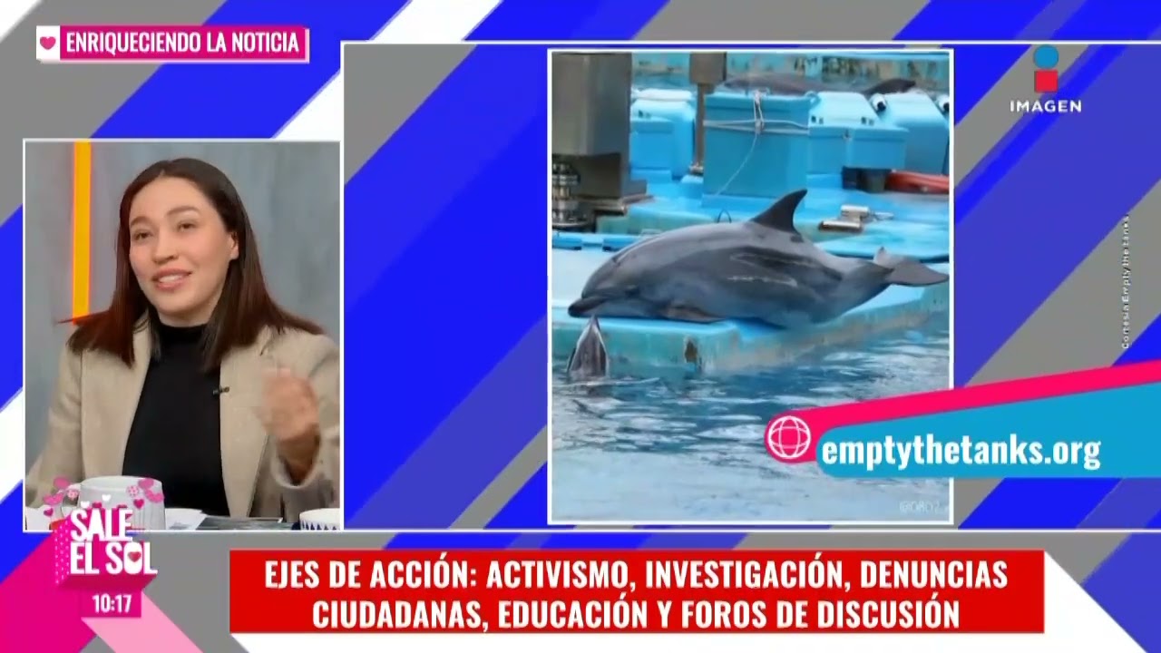 ¡La VERDAD detrás del CAUTIVERIO de DELFINES con Sofía Morín! I Sale el Sol