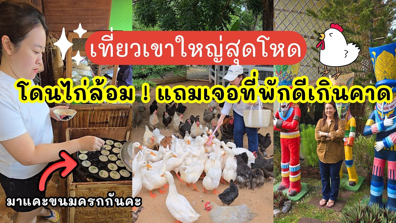เที่ยวเขาใหญ่สุดโหด พร้อมรีวิวโรงแรมรีคอล อีสาน คาเฟ่น่ารัก ฮิลใจที่สุด เที่ยวตามได้เลย