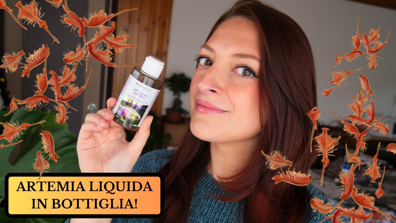 BASTA dare cibo secco ai tuoi pesci! Prova l'artemia liquida 🐠