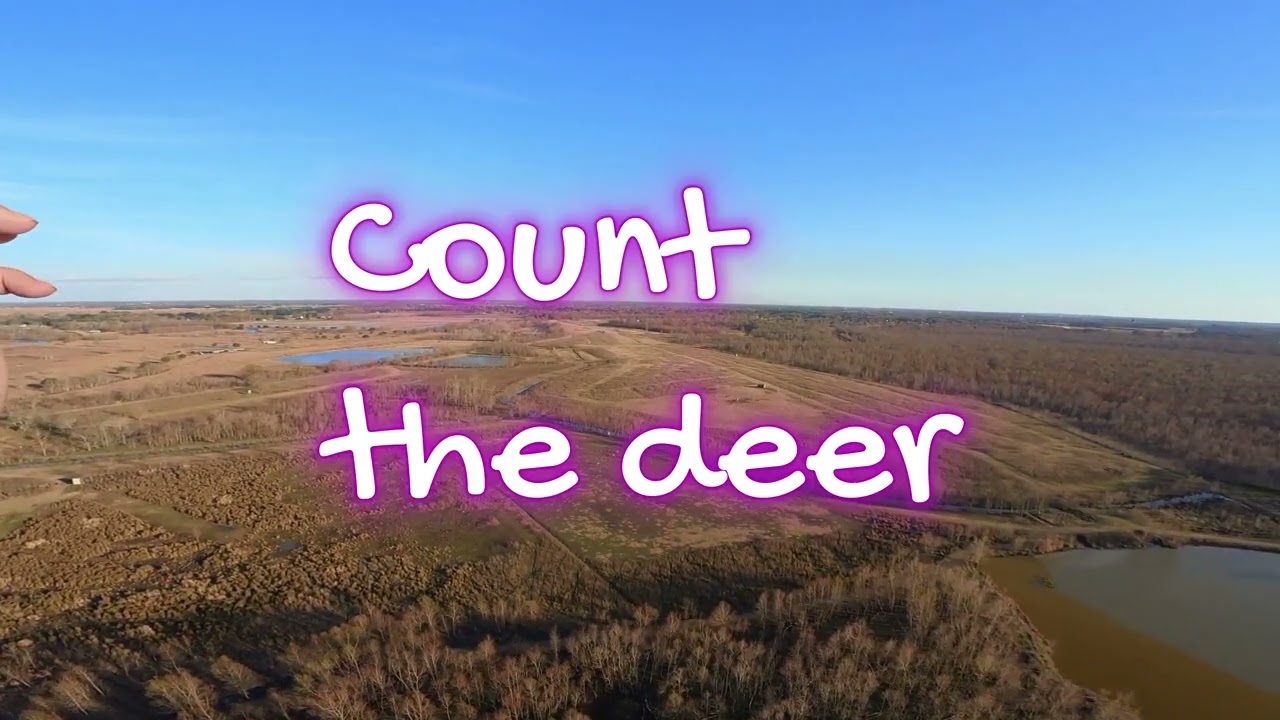 PPG flight over secret deer farm near spanish lake. Paramotor South Louisiana
