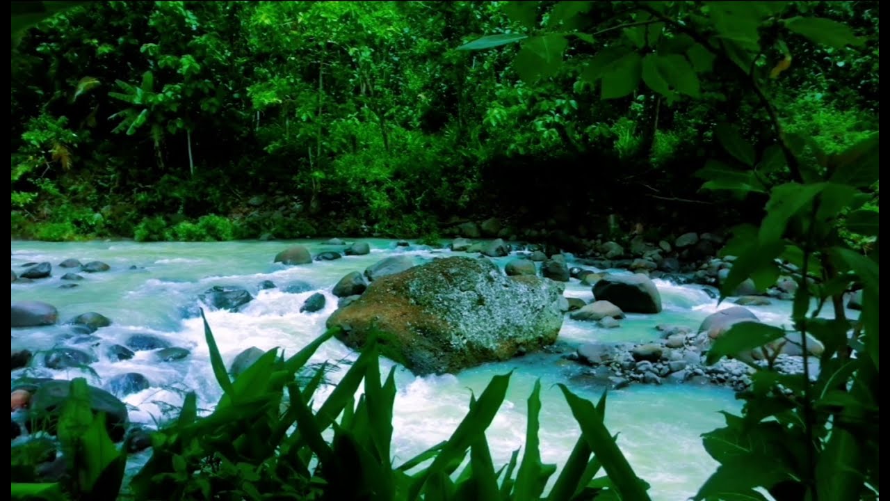 Peaceful Flowing River Sounds – Calming Water for Mind & Body