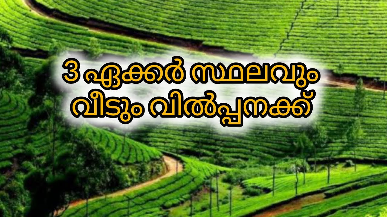 മാനന്തവാടി വാളാട് 3 ഏക്കർ സ്ഥലവും വീടും വിൽപ്പനക്ക് 