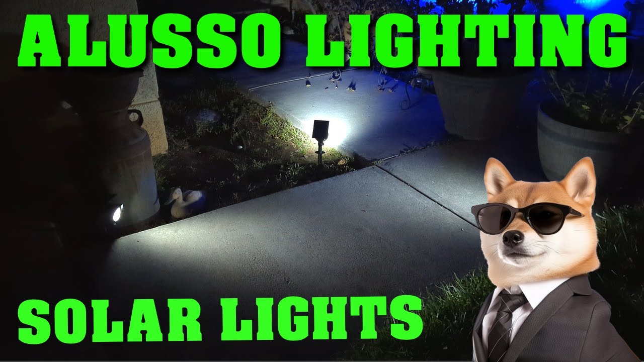 Random Review:  Alusso Lighting Solar Spotlight