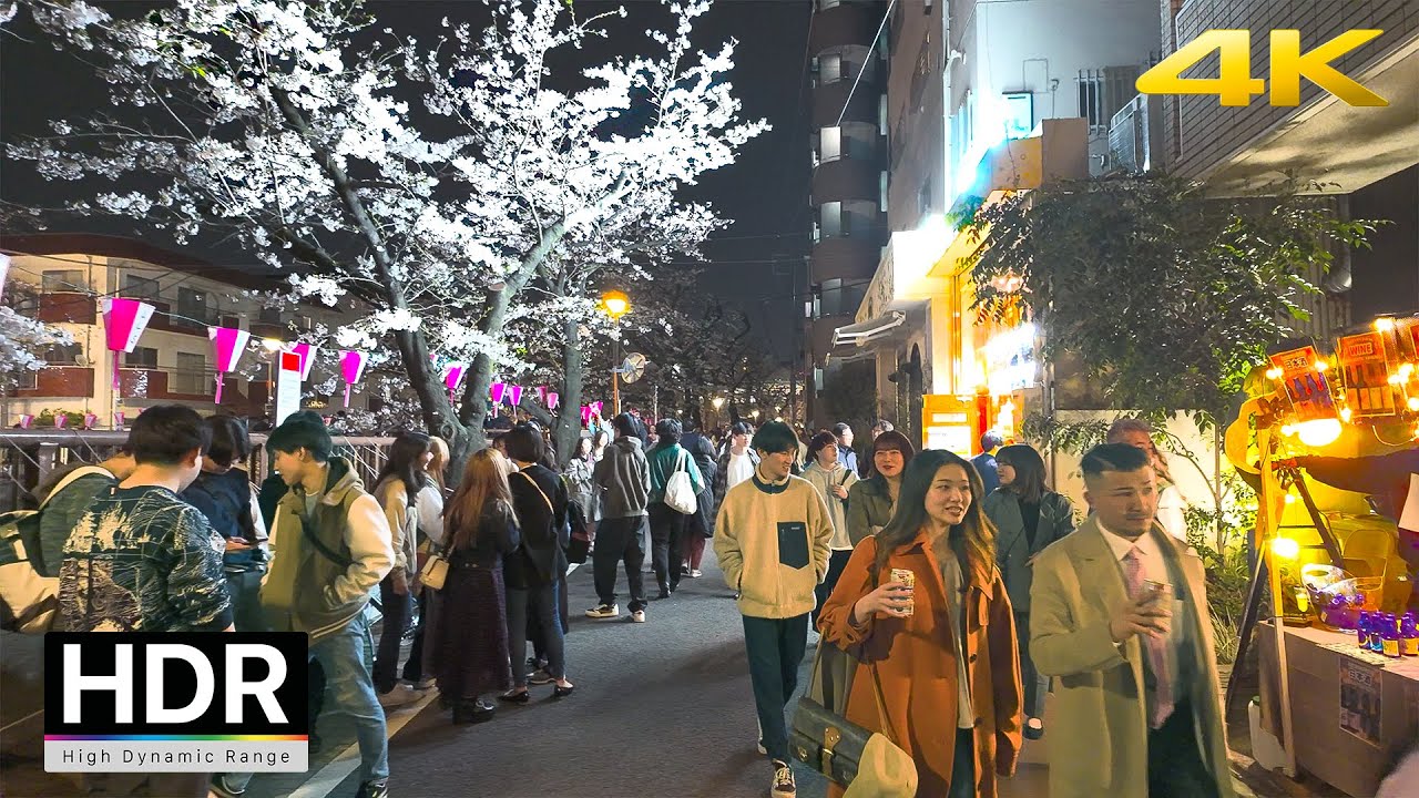 Цветущая сакура в Токио 2024 - Накамегуро / 4K HDR/Binaural | Tokyo Cherry Blossoms 2024 Nakameguro