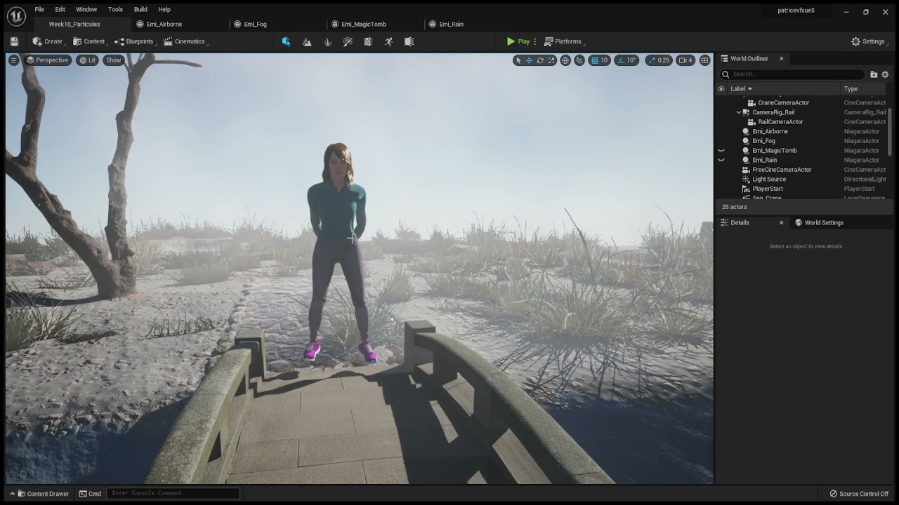 VFX - Unreal Niagara Emitters - rain, fog, air dust and magic particules